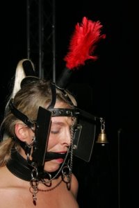 Ponygirl & Xtreme Bondage Site